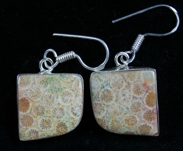 Beautiful Fossil Coral Earrings #7679